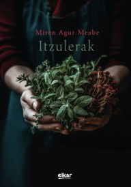 Title: Itzulerak, Author: Miren Agur Meabe Plaza