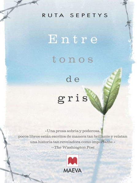 Entre tonos de gris