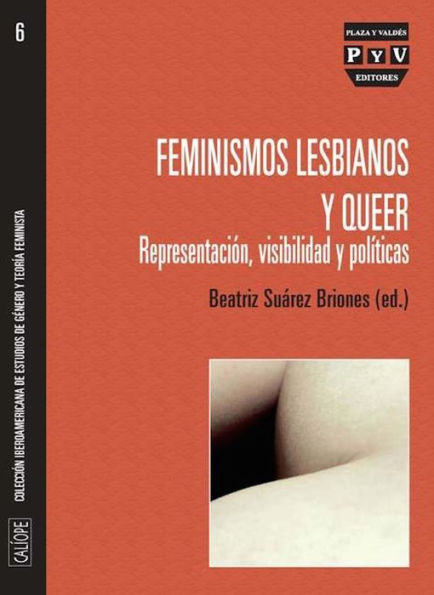 Feminismos lesbianos y queer: Representacion, visibilidad y politicas
