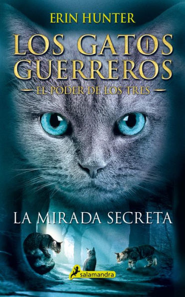 La mirada secreta (Los gatos guerreros: El poder de los tres 1)
