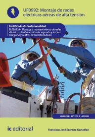 Title: Montaje de redes eléctricas aéreas de alta tensión. ELEE0209, Author: Francisco José Entrena González