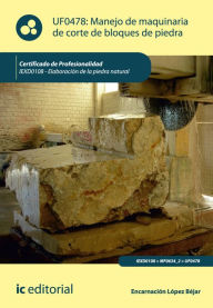 Title: Manejo de maquinaria de corte de bloques de piedra. IEXD0108, Author: Encarnación López Béjar