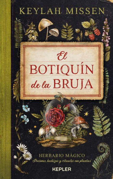 Botiquín de la bruja, El