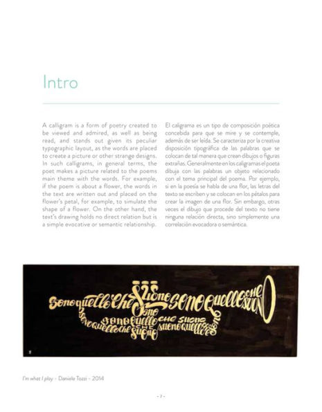 Words into Shapes: The Graphic Art of Calligram