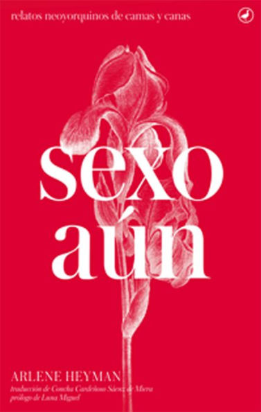 Sexo aún