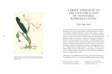 Alternative view 3 of Botanicals