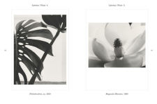 Alternative view 5 of Botanicals