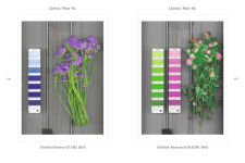 Alternative view 10 of Botanicals