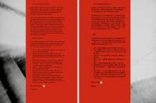 Alternative view 4 of Jorquera: Wuhan before Wuhan