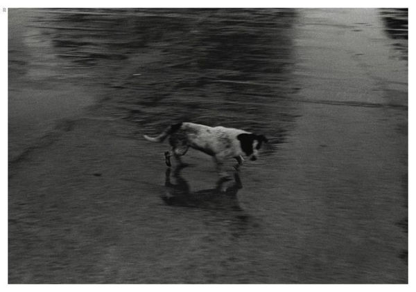 Adriana Lestido: Metropolis: Buenos Aires 1988/1999