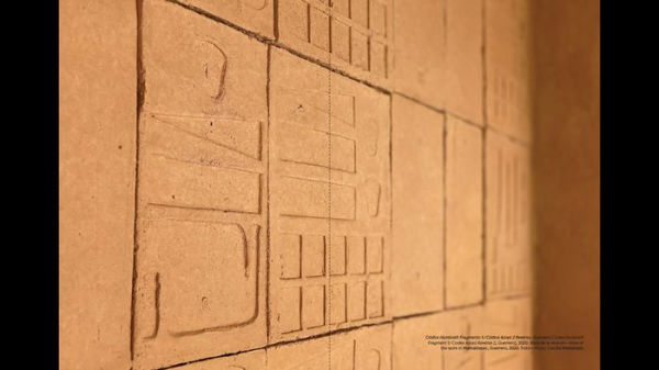 Mariana Castillo Deball: Amarantus