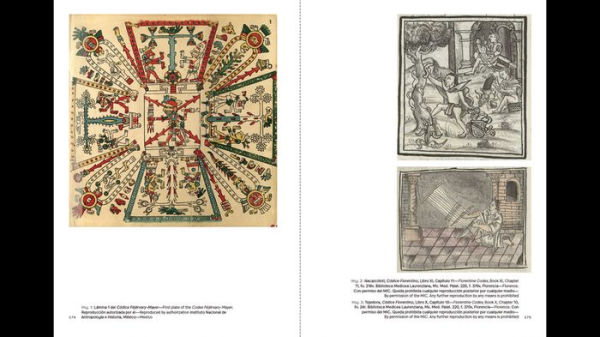 Mariana Castillo Deball: Amarantus