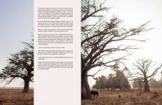 Alternative view 2 of The Backway