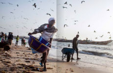 Alternative view 8 of The Backway