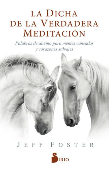 Dicha de La verdadera meditación,