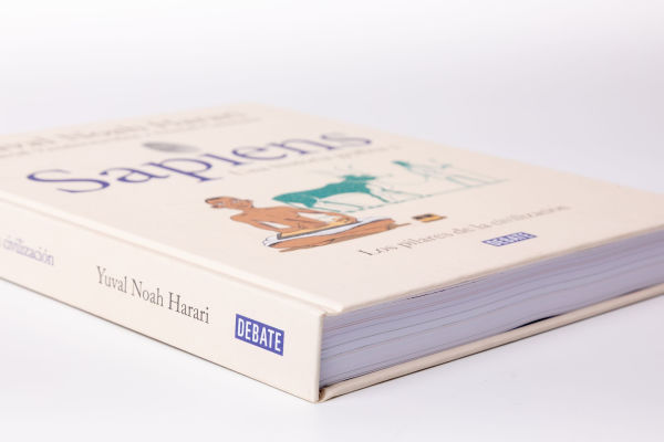 Sapiens. Una historia gráfica. Vol. 2: Los pilares de la civilización / Sapiens: A Graphic History, Volume 2: The Pillars of Civilization