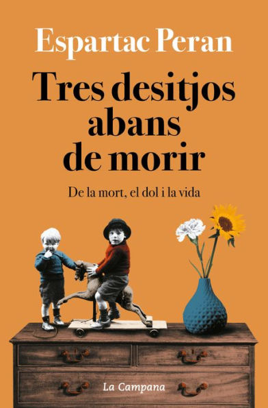 Tres desitjos abans de morir: De la mort, el dol i la vida