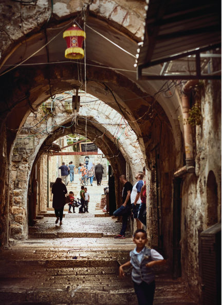 Falastin. Un viaje culinario / Falastin. A Palestinian Cookbook