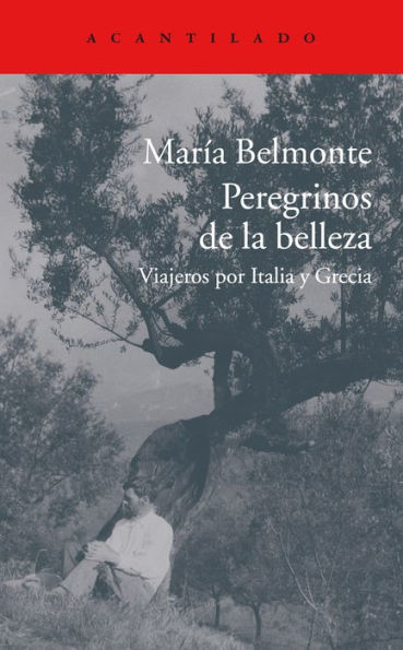 Peregrinos de la belleza: Viajeros por Italia y Grecia