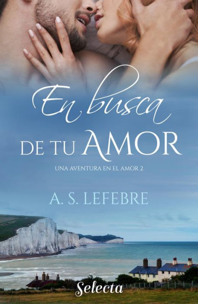 En busca de tu amor (Una aventura en el amor 2)