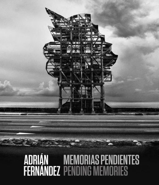 Adri n Fern ndez: Pending Memories