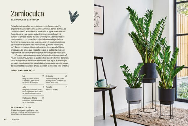 Plantas inmortales: 40 plantas de interior resilientes para jardineros novatos