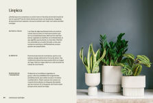 Alternative view 3 of Plantas inmortales: 40 plantas de interior resilientes para jardineros novatos