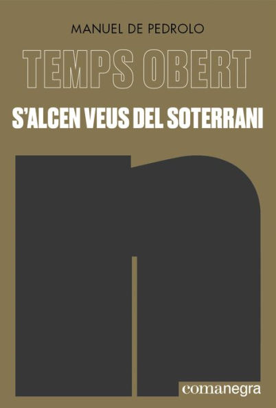 S'alcen veus del soterrani: Temps Obert VIII