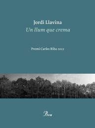 Title: Un llum que crema, Author: Jordi Llavina
