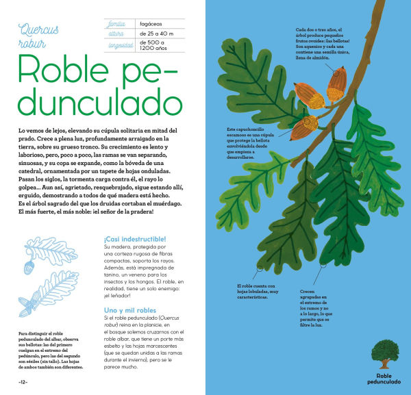 ï¿½rboles y su magia / Trees and Their Magic