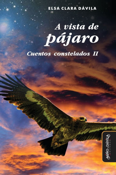 A vista de pï¿½jaro: Cuentos constelados II