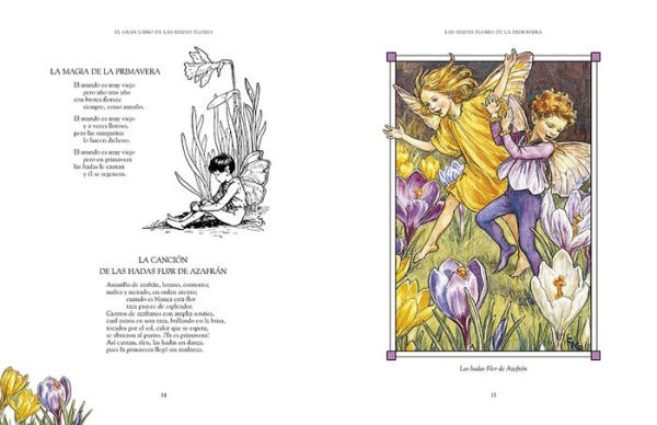 El gran libro de las hadas flores / The Complete Book of the Flower Fairies