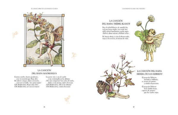 El gran libro de las hadas flores / The Complete Book of the Flower Fairies