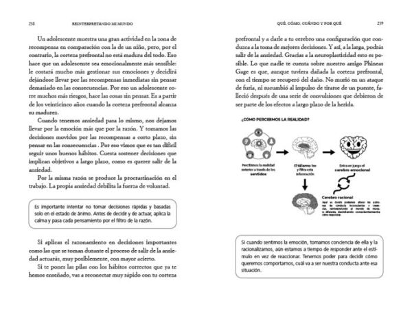 El cerebro de la gente feliz / The Brain of Happy People