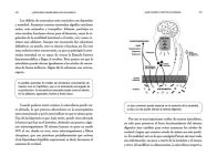 Alternative view 5 of El cerebro de la gente feliz / The Brain of Happy People