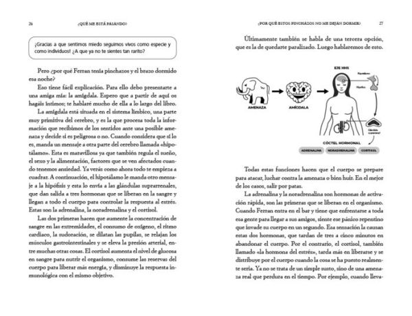 El cerebro de la gente feliz: Supera la ansiedad con ayuda de la neurociencia