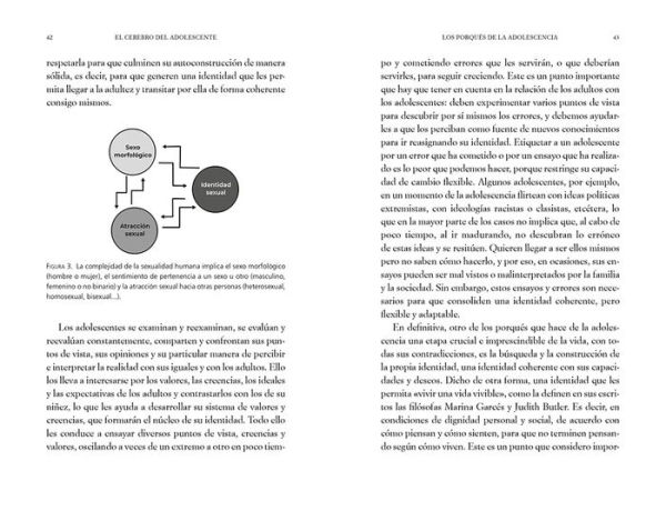 El cerebro del adolescente: Descubre cómo funciona para entenderlos y acompañarlos / The Teenage Brain: Explore Its Workings to Understand and Support Them