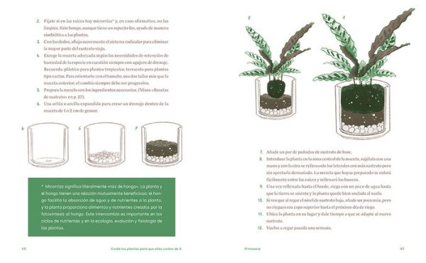 Cuida tus plantas para que ellas cuiden de ti: Despierta tu instinto planternal / Take Care of Your Plants So That They Take Care of You: Awaken Your Planternal