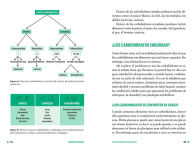 Alternative view 2 of Equilibra tu glucosa: Mejora tu salud metabólica y reduce grasa corporal / Balance Your Glucose. Improve Your Metabolic Health