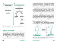 Alternative view 3 of Equilibra tu glucosa: Mejora tu salud metabólica y reduce grasa corporal / Balance Your Glucose. Improve Your Metabolic Health