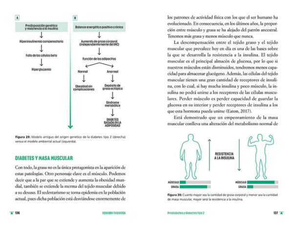 Equilibra tu glucosa: Mejora tu salud metabólica y reduce grasa corporal con rig or y ciencia / Balance Your Glucose. Improve Your Metabolic Health