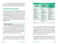 Alternative view 4 of Equilibra tu glucosa: Mejora tu salud metabólica y reduce grasa corporal / Balance Your Glucose. Improve Your Metabolic Health