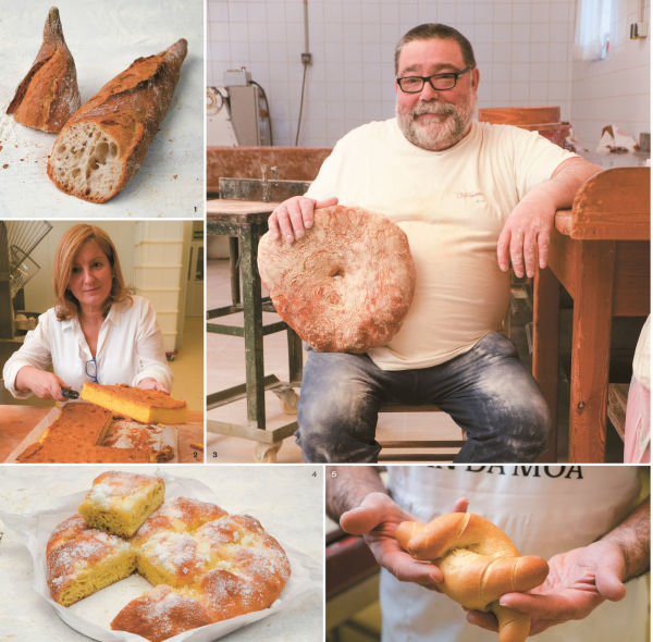 Pan de pueblo: Un viaje por los panes y panaderías de España (Edición premium) / Town Bread (Premium Edition)