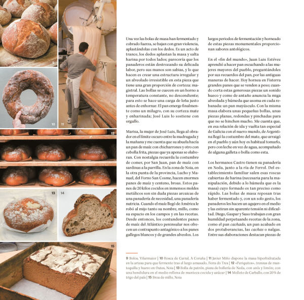Pan de pueblo: Un viaje por los panes y panaderías de España (Edición premium) / Town Bread (Premium Edition)