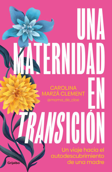 Una maternidad en transición / Maternity in Transition