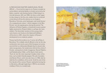 Alternative view 2 of Picasso