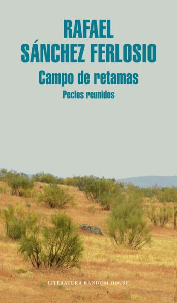 Campo de retamas: Pecios reunidos