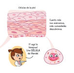Alternative view 6 of Genética / Genetics for Smart Kids: La ciencia explicada a los más pequeños / Science Explained to the Little Ones