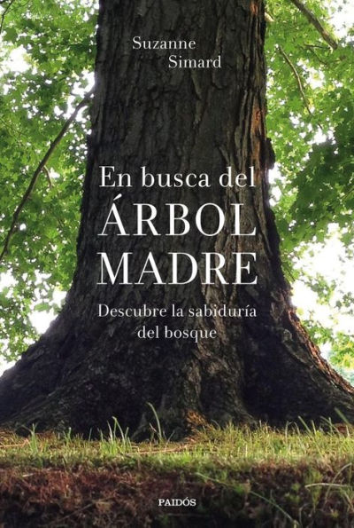 En busca del Árbol Madre: Descubre la sabiduría del bosque