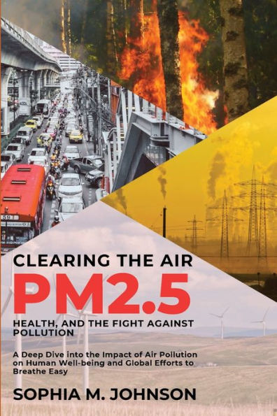 Clearing the Air: A Deep Dive into the Impact of Air Pollution on Human Well-being and Global Efforts to Breathe Easy